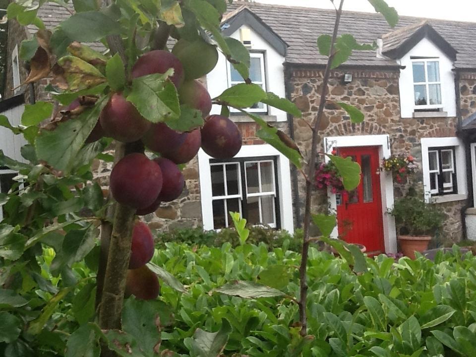 Berwick Hall Cottage Moira (Down) Quarto foto
